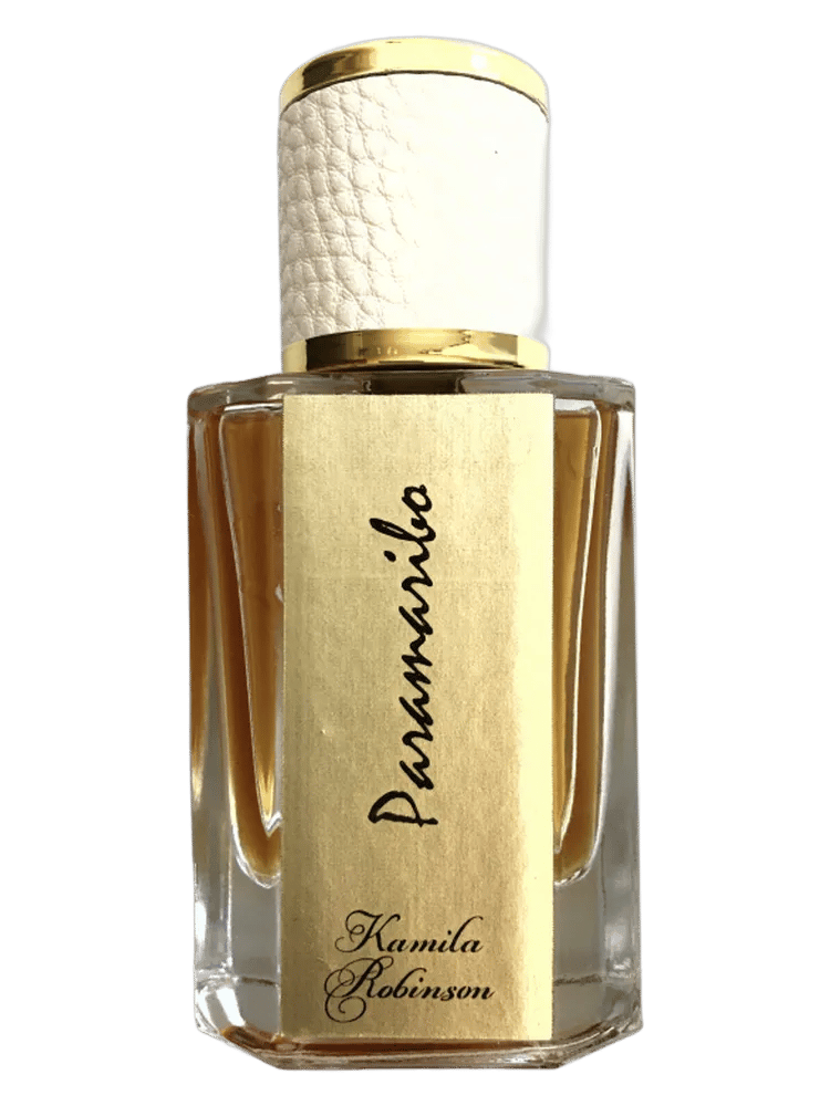 Paramaribo (Парамарибо) by Kamila Robinson