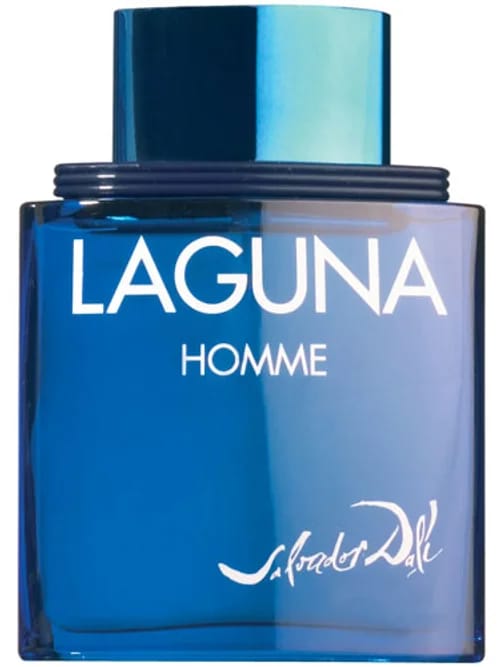 Laguna Homme by Salvador Dalí