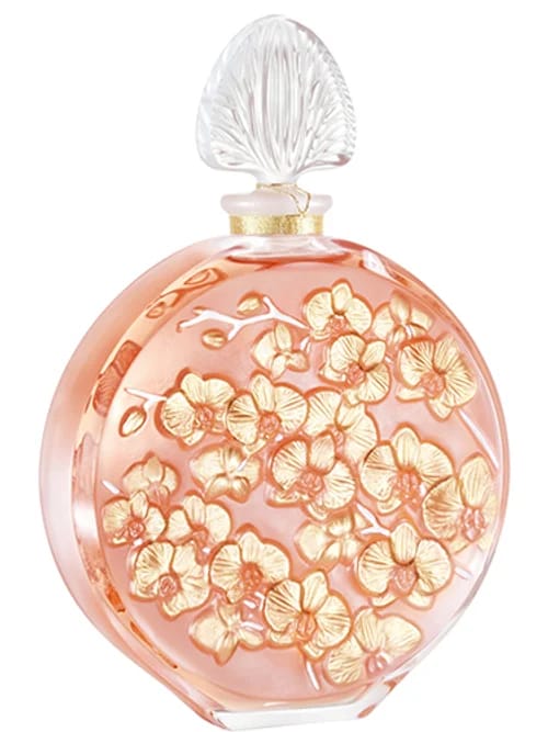 De Orchidée 2020 by Lalique