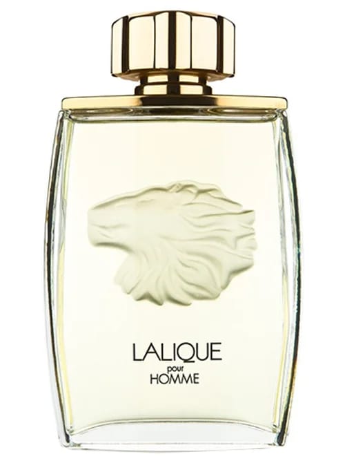 Pour Homme Lion