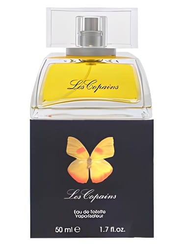 Papillon by Les Copains