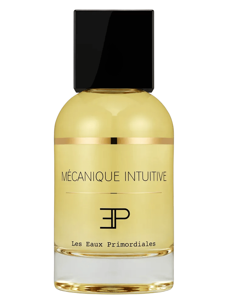 Mécanique Intuitive by Les Eaux Primordiales