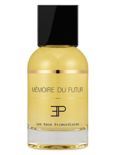 Mémoire Du Futur by Les Eaux Primordiales