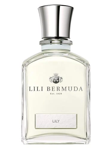 Lily by Lili Bermuda