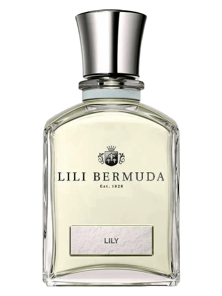 Lily by Lili Bermuda