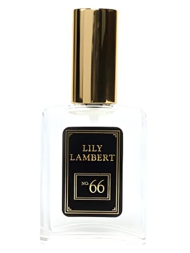 Master Number No. 66 by Lily Lambert
