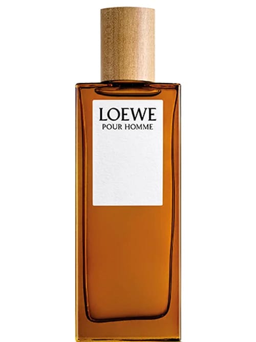 Pour Homme by Loewe