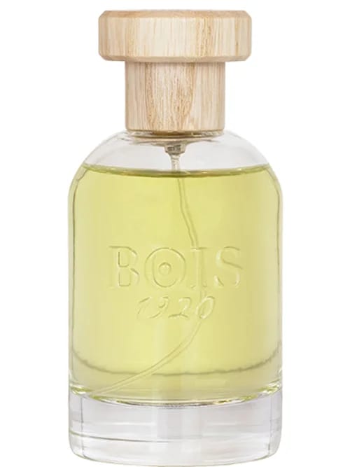 Magia by Bois 1920
