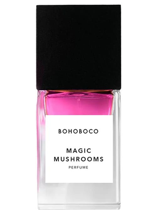 Magic Mushrooms by Bohoboco