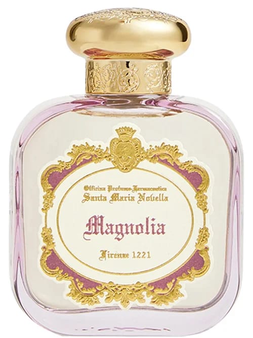 Magnolia by Santa Maria Novella