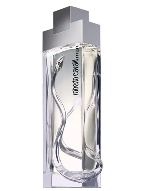 Man by Roberto Cavalli