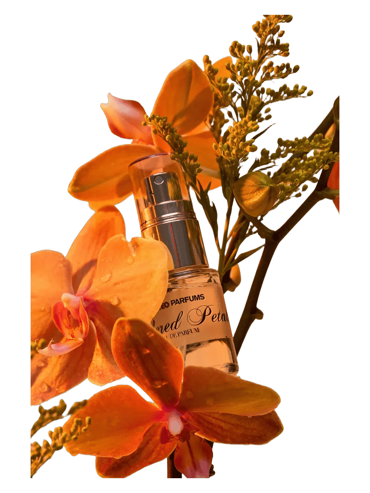 Ambered Petal by Matteo Parfums