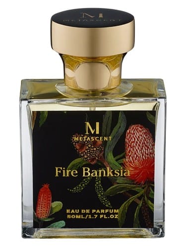 Fire Banksia by Metascent