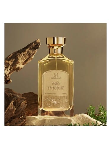 Oud Sanctum by Metascent