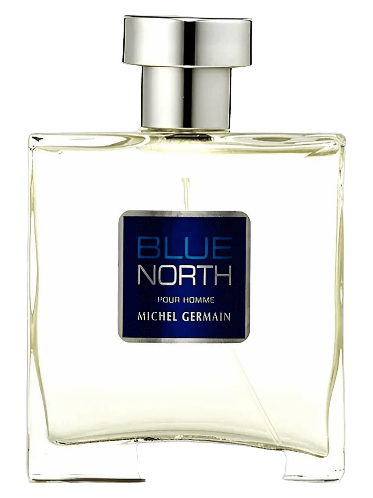 Blue North by Michel Germain