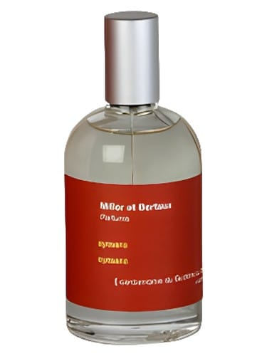 Aymara by Miller Et Bertaux