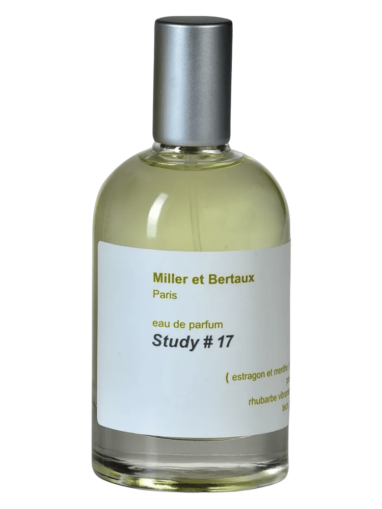 Study No. 17 by Miller Et Bertaux