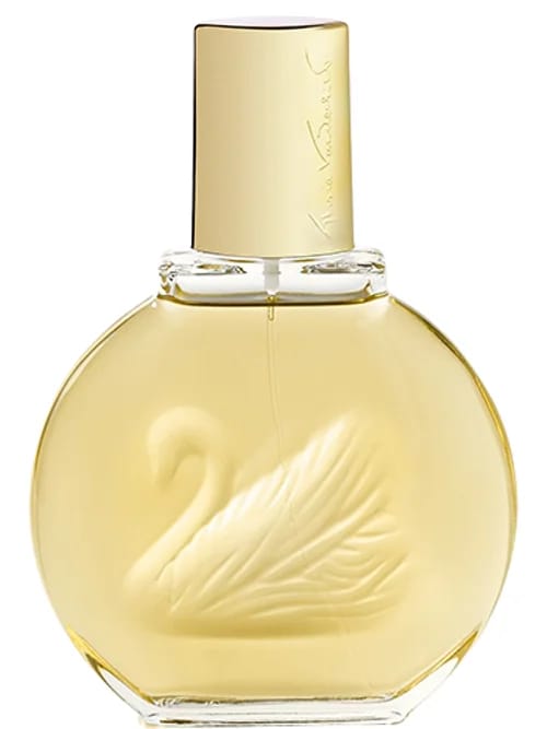 Miss by Vanderbilt