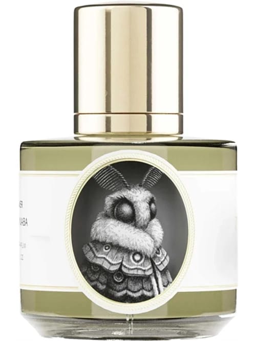 Moth by Zoologist