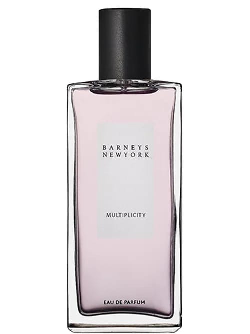 Multiplicity by Barneys New York