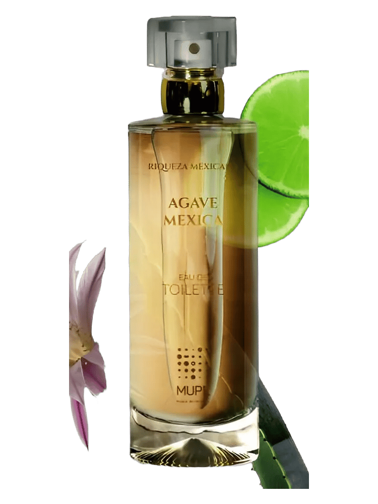 Agave Mexica by MUPE
