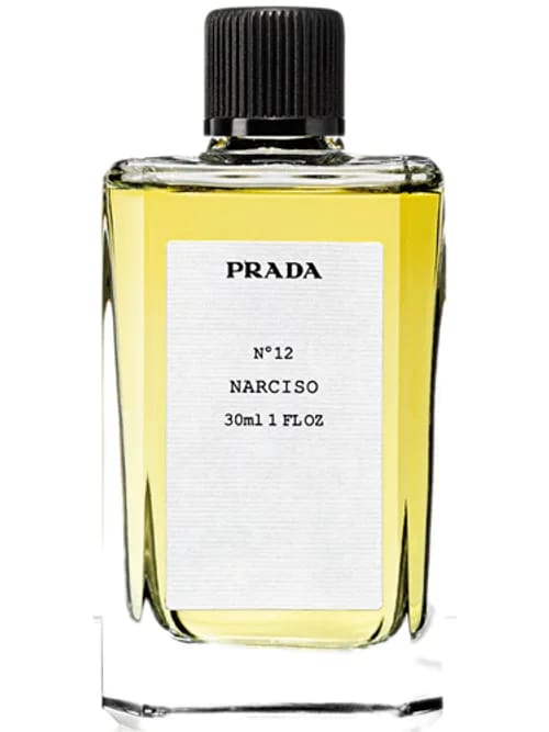 Narciso Nº 12 by Prada