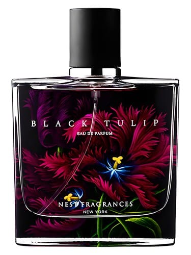 Black Tulip by Nest