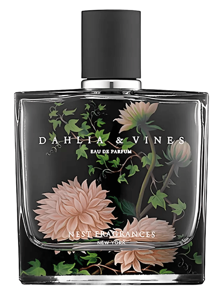 Dahlia & Vines by Nest