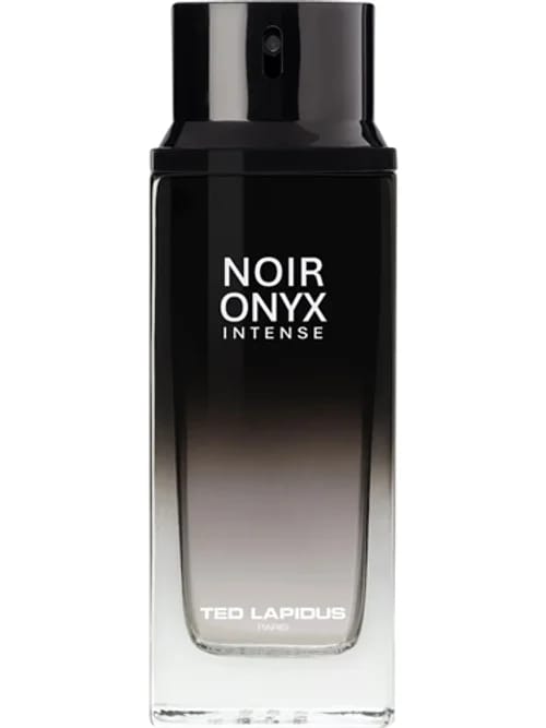 Noir Onyx Intense by Ted Lapidus