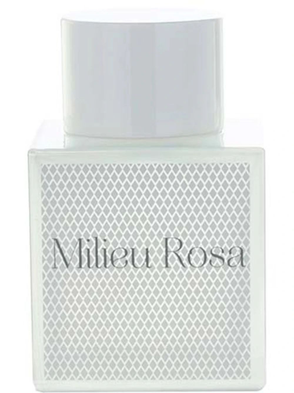 Milieu Rosa by Odin New York