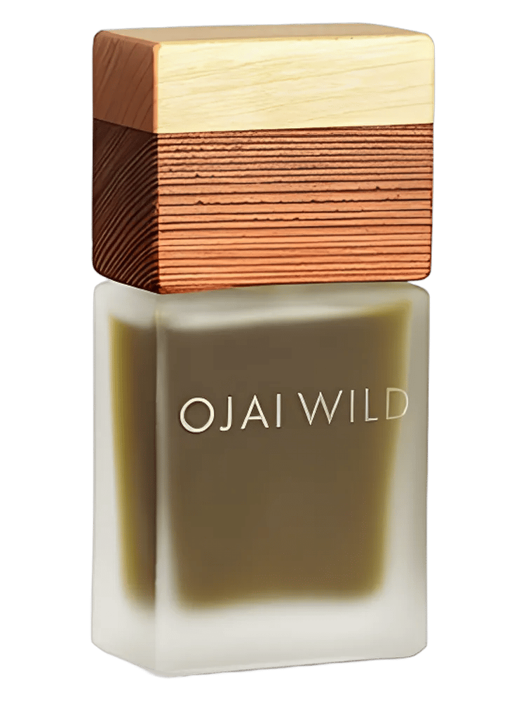 Redwood Leaves by Ojai Wild