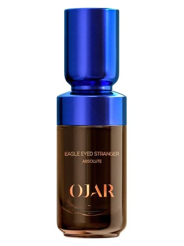 Eagle Eyed Stranger by Ojar