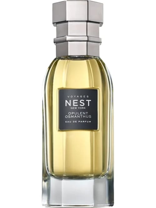 Opulent Osmanthus by Nest
