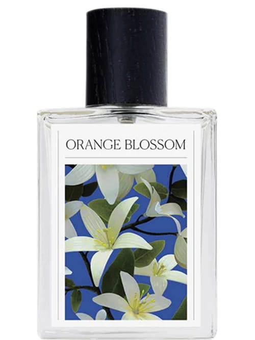 Orange Blossom by The 7 Virtues