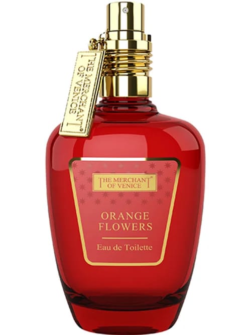 Orange Flower by The Merchant Of Venice