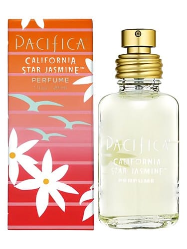 California Star Jasmine by Pacifica