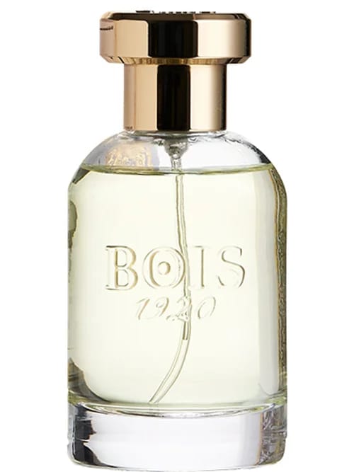 Paranà by Bois 1920