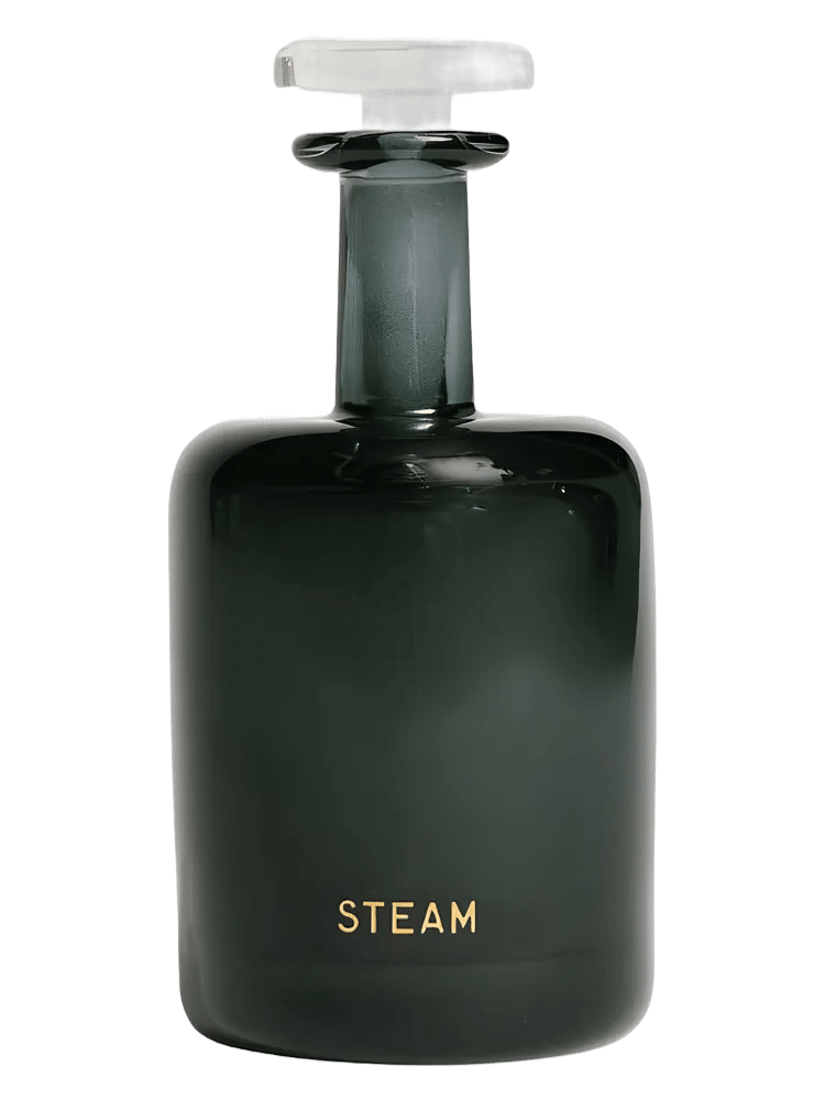 Steam by Perfumer H