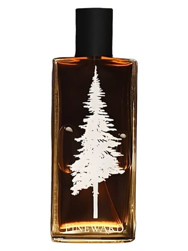 Lime Cola by Pineward Perfumes