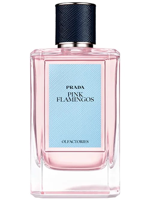 Pink Flamingos by Prada