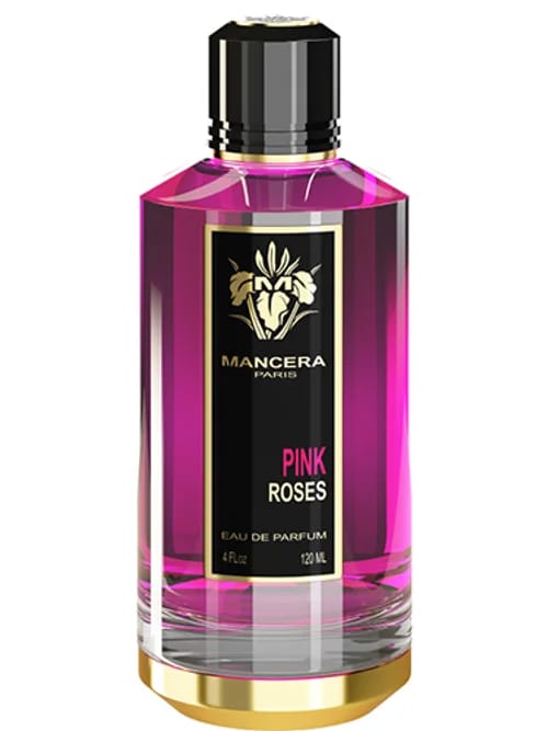 Pink Roses by Mancera