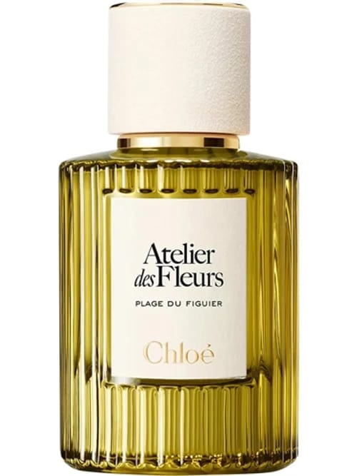Plage Du Figuier by Chloé