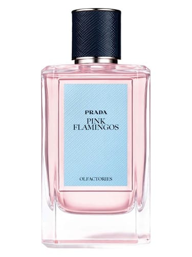 Pink Flamingos by Prada