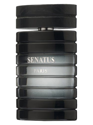 Senatus Noir by Prestigious