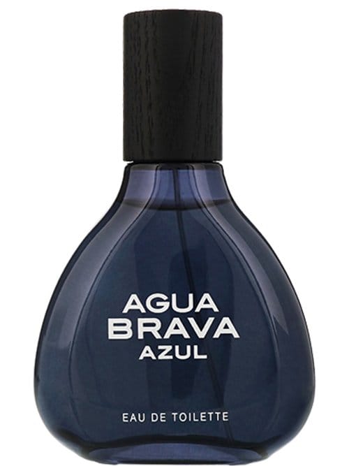 Agua Brava Azul by Puig