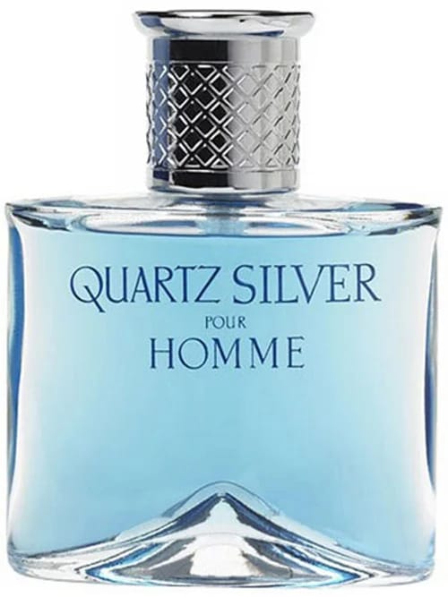 Quartz Silver Pour Homme by Molyneux