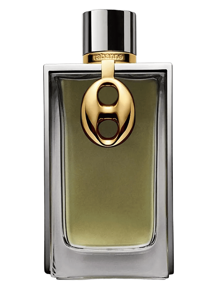 Mesh Metal by Rabanne