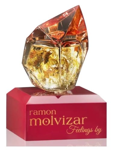 Feelings by Ramon Molvizar
