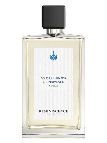 Sous Un Mimosa De Provence by Reminiscence