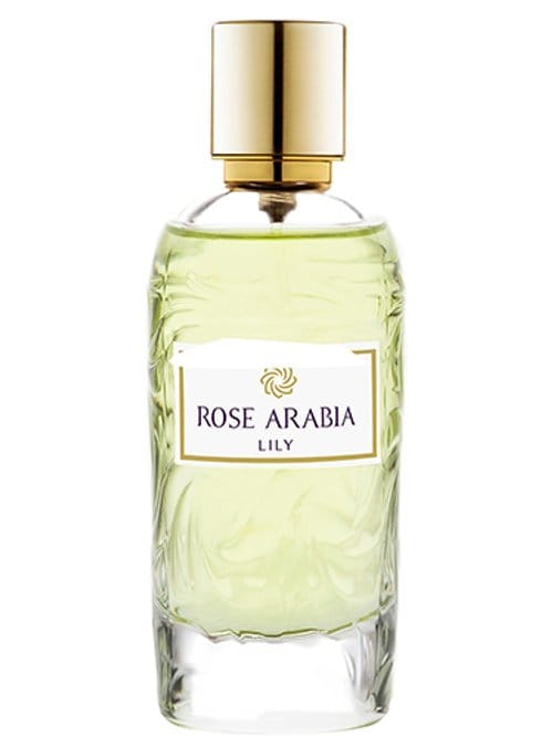 Lily by Rose Arabia